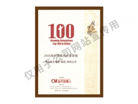 中國(guó)成長(zhǎng)企業(yè)百?gòu)?qiáng)